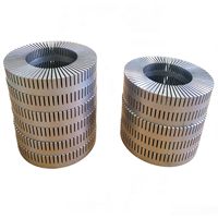 Noyau axial personnalisé / Stator axial en acier au silicium auto-adhésif pour moteur axial