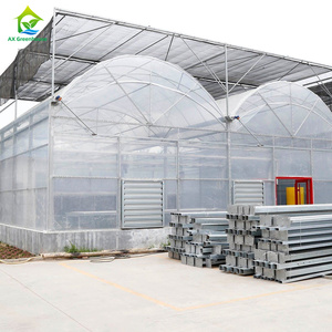 Moderna agricoltura agricola Multi-span pellicola di plastica automatizzata mirtillo Smart serra per la semina di pomodoro - Product Image 1