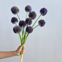 Fleur artificielle en plastique souple, faite à la main, haute simulation, naturelle, à tige unique, type Allium, Pissenlit, Mini Baie, Boule d'Oignon
