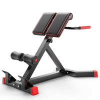 Produits nouvellement libérés chaise romaine Fitness banc d'haltères chaise romaine équipement de Fitness