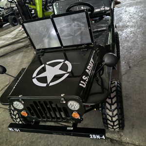 2025 EGS 110cc Steel Go <b>Karts</b> Gas-Fueled 4 Stroke Start FR Disc Brakes 60km/h Speed 200kg Load Outdoor - Product Image 1