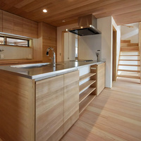 Meubles de cuisine haut de gamme, armoires de luxe durables, robinets, charnières et paniers de tiroir pour villas