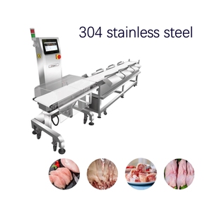 Máquina Automática de Pesaje y Clasificación de Pescado Entero, Máquina Clasificadora de Alas de Pollo y Carne, Cinta Transportadora de Clasificación - Product Image 3