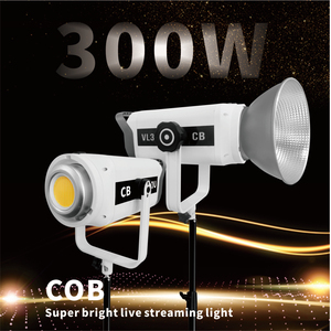 Luce LED Portatile Bicolore in Metallo per Fotografi Professionisti <span class=keywords><strong>con</strong></span> Alto CRI Lampada per Registrazione <span class=keywords><strong>Video</strong></span> 300W - Product Image 3