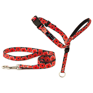 Bozales de nailon personalizables para perros, equipo de entrenamiento antimordidas ajustable cómodo con patrón sólido, estilo Simple - Product Image 5