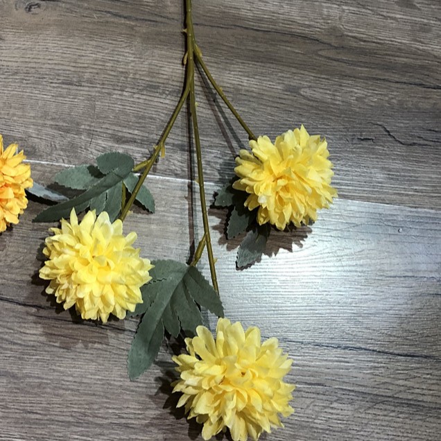 3Head ping pong chrysanthemum Yellow