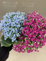 Bouquet de fleurs artificielles en plastique blanc rose bleu pour bébé pour arrangement de mariage