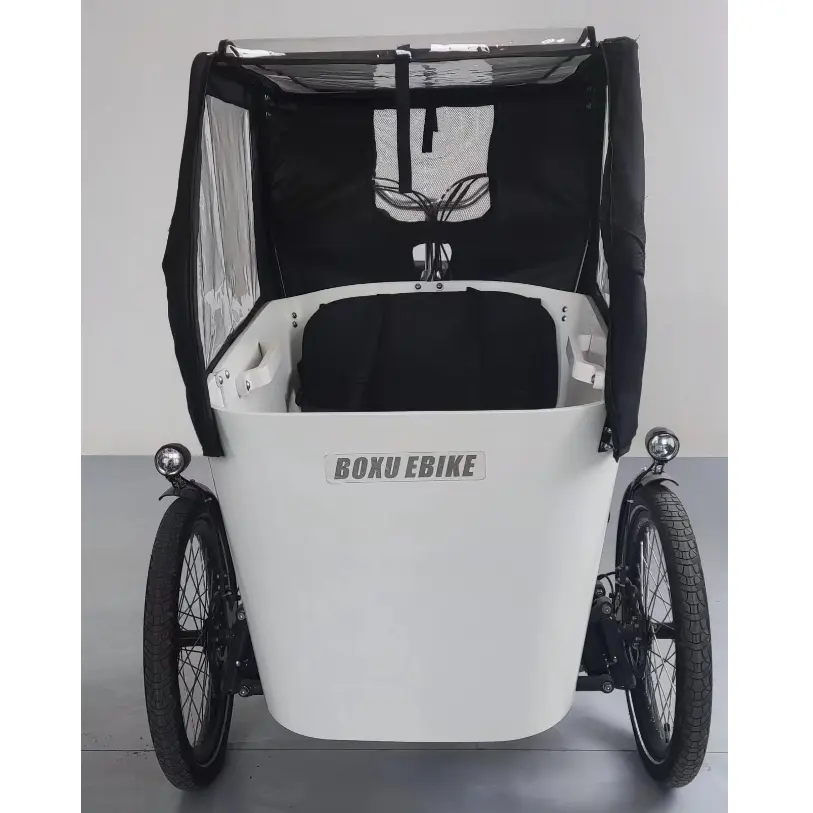 Heavy Duty Three Wheel Cargo Tricycle for Sale Aluminium alloy Body 3 Wheel Electric Car falgship tilt e-cargo tricycle