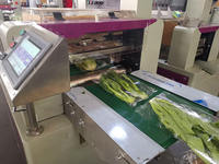 Automatische verpakkingsmachine voor groenten, verse bladgroenten, wortelen en tortilla's (kussenverpakking)