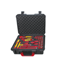 Safty case package 66Pcs Set di strumenti per elettricista isolato per auto new energy o Hybrid