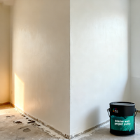 Enduit acrylique professionnel à séchage rapide pour murs intérieurs – Solution gain de temps pour le lissage de grandes surfaces murales