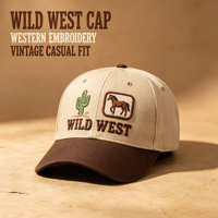Gorra de Béisbol Personalizada con Logotipo Bordado, Visera Curva, Dos Tonos, 100% Algodón, Estilo Casual para Exteriores