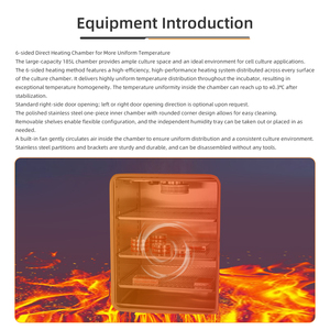 Incubateur de laboratoire ZENROTEST à température constante, anaérobie, hypoxique, pour micro-organismes, à basse température, pour cellules et dioxyde de carbone, 220V/240V 1 - Product Image 3