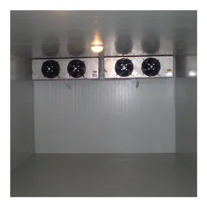 High Quality Customized Cold Storage Freezing Room For Frozen Product Storage