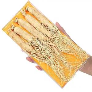 Qingchun yüksek kaliteli ham beyaz asya Ginseng kökü kurutulmuş P. Çin'de Jilin Changbai dağı'ndan Ginseng - Product Image 4