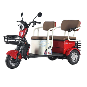 Véhicule électrique robuste à trois roues pour les déplacements et le transport domestiques - Product Image 5