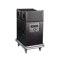 Système de sonorisation professionnel extérieur alimenté par courant, classe D, 10 pouces, système de ligne active avec module d'amplification numérique DSP