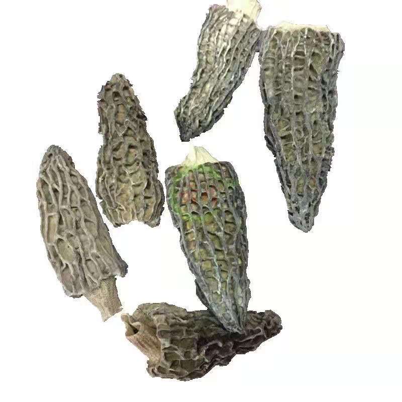Недорогая сушеная дикая морелка Юньнань, кашпо, морчелла Коника с выемкой
