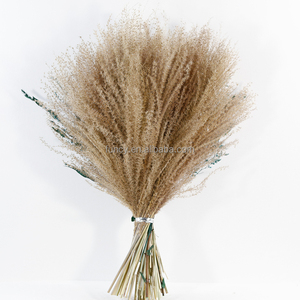 Pour Bush <span class=keywords><strong>Billy</strong></span> Boutons Fleurs Séchées Bouquet Blé Ovatus Pampas Herbe pour Boho Mariage Décor À La Maison Mère Nouvel An Graduation - Product Image 6
