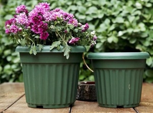 Moldes para Macetas de Flores/Jardín por Inyección, Económicos, Molde de Plástico para Macetas de Plantas de China - Product Image 5