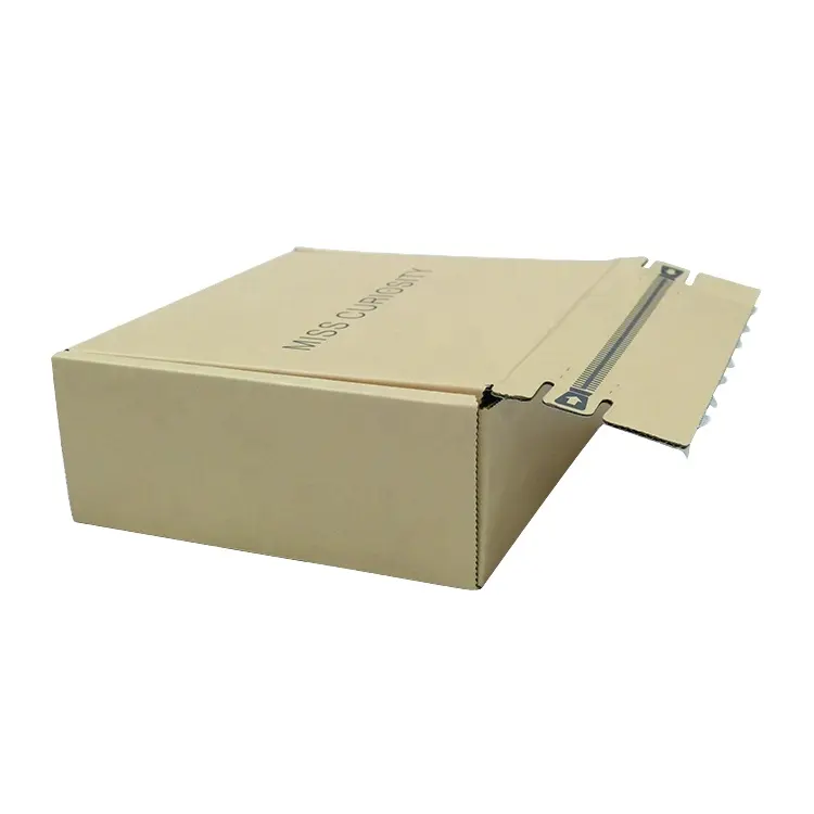 Shipping Holographic Clothing Poly COrrUgated Large Mailer Packaging Box For Shoe Box