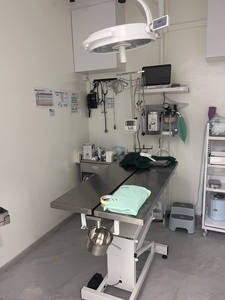Mesa de Operaciones Veterinaria Eléctrica EUR VET, Mesa Quirúrgica de Acero Inoxidable para <span class=keywords><strong>Hospital</strong></span>, Equipo <span class=keywords><strong>Veterinario</strong></span> para Animales - Product Image 5