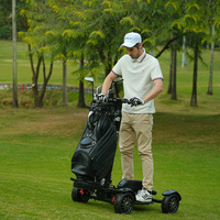 Voiturette de golf électrique à un siège Eswing US Warehouse, 4 roues, scooter de mobilité motorisé, mini chariot de golf pour adultes