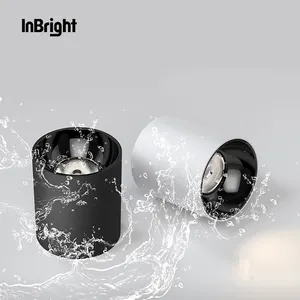IP65 noir blanc rond étanche monté en surface cylindre LED Downlight COB suspendu Dimmable vers le bas de la lumière