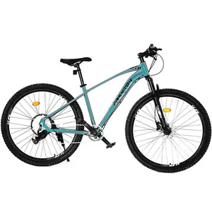 Factory Price Mountain Bike Mtb Bicycle 26 Inch Downhill Mountain Bike For Men/steel Steel Plastic Aluminum Alloy FX 21 Speed