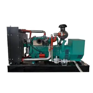 20kw 30kw 40kw 50kw 80kw 100kw doğal gaz jeneratörü 50/60hz bio gaz jeneratörü set