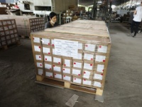 Pelapis dinding dekoratif PVC, pelapis dinding dekoratif Panel dinding eksterior