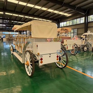 Carroza Turística Eléctrica de 4 Filas, Totalmente Metálica, Personalizable con Toldo, para Parques Temáticos, Atracciones Turísticas, Desfiles y Eventos - Product Image 2
