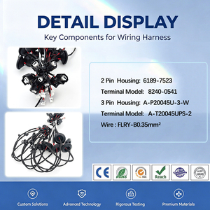 定制高位置刹车灯线束 FLRY-B0.35mm 带外壳 6189-7523 端子 8240-0541 用于汽车工厂装配 - Product Image 2