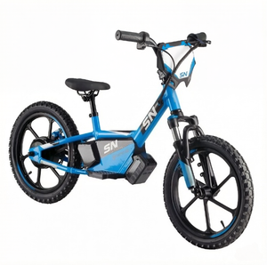 Bicicleta Eléctrica Azul de 36V 250W, Top 5 en Ventas, Bicicleta de Equilibrio para Niños, Mini Bicicleta Eléctrica con Llantas de <span class=keywords><strong>12</strong></span>'', Personalización de Color Disponible - Product Image 3
