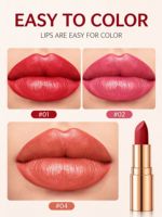 Vente en gros de rouge à lèvres HANDAIYAN H1116 4g, couleur des lèvres minérale, hydratante, imperméable, longue tenue, logo personnalisé, fournitures de maquillage