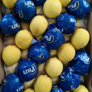 <span class=keywords><strong>Citron</strong></span> jaunes frais de haute qualité, g, vente en gros, chinois - Product Image 1