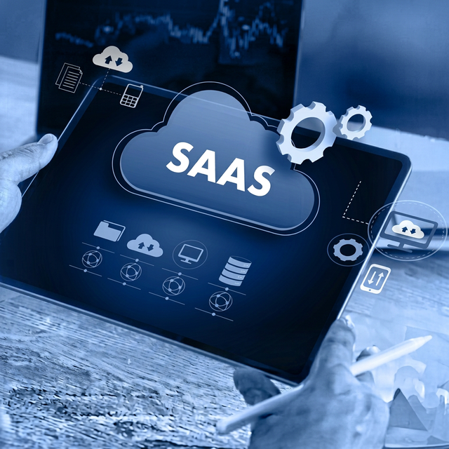 Basic SaaS MVP Development for Improve Your Business Performance with Digital Innovation Software Software