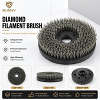 Brosse de ponçage industrielle en diamant de 250 mm pour finition antique de pierre, polissage de sol en béton, personnalisable OEM, en plastique