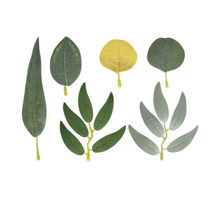 Guirnalda de Eucalipto Artificial de 100cm/200cm, Flor de Seda para Decoración de Bodas, Ramo de Hojas Verdes Redondas Entrelazadas - Product Image 3