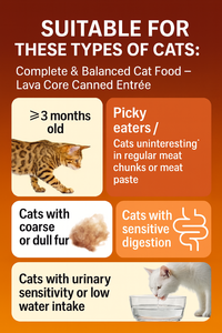 Comida para perros sin etiqueta | Comida húmeda para gatos | Proveedor de línea de producción de comida húmeda al por mayor - Product Image 6