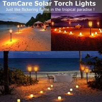 Lampe torche solaire 12LED avec motif Lampe torche solaire pour jardin, pelouse, lampe torche LED ABS IP65