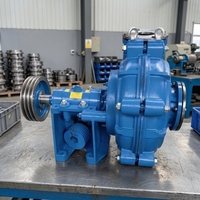 Pompe à boue horizontale pour le pompage de sable, récupération de sable fin, dragage de rivière, pompe à boue haute pression en acier inoxydable OEM