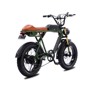 Super 20-Inch Electric E-Bike 1500W 48V 52V Range Long-Lasting Dual 13Ah Lithium Carbon Frame 73 EBike Fat Tire Tube Brake