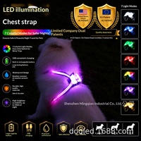 Harnais et gilet lumineux imperméables en gel de silicone rechargeables par USB, collier pour chien LED protégé par brevet américain
