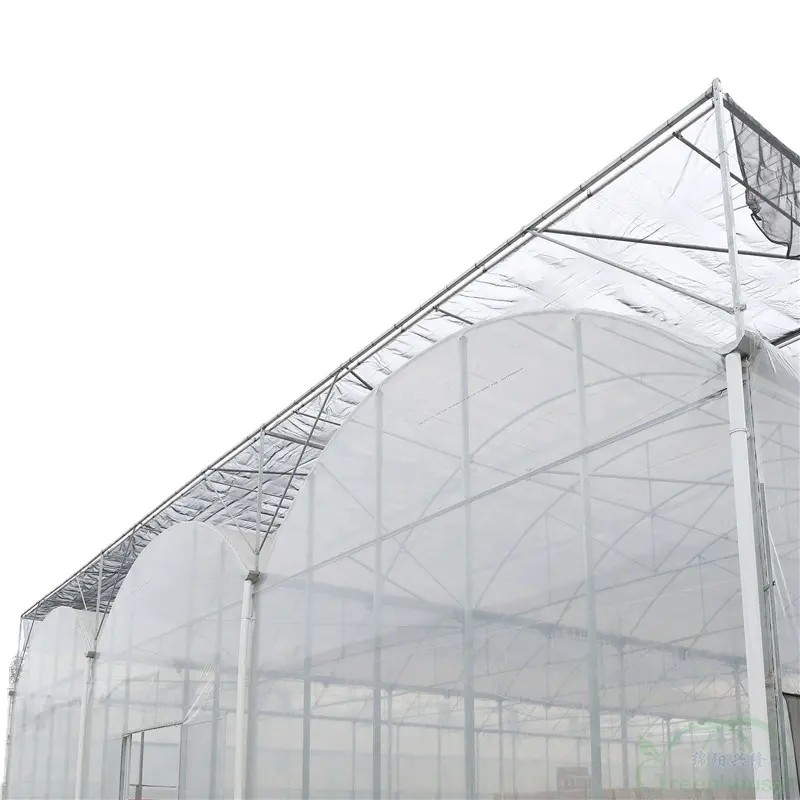 MYXL industriale commerciale a basso costo serre agricole struttura casa verde