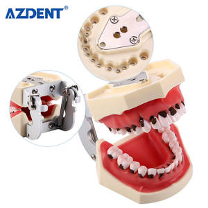 <span class=keywords><strong>Model</strong></span> Pengajaran Gigi Azdent <span class=keywords><strong>Model</strong></span> Kalkulus Gigi/ <span class=keywords><strong>Model</strong></span> Penyakit <span class=keywords><strong>Periodontal</strong></span> - Product Image 4