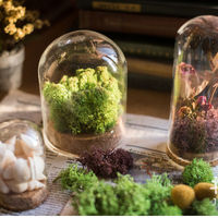 Cloche en verre soufflé à la main HR GLASS avec base en bois pour présentation de Noël, jouets, fleurs, desserts, bougies