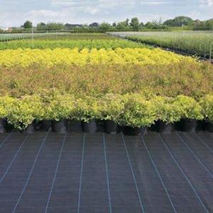 Tissu Anti-herbe/barrière contre les mauvaises herbes noires barrière contre les mauvaises herbes tissu paysage avec barrière contre les mauvaises herbes microfu couverture du <span class=keywords><strong>sol</strong></span> - Product Image 4