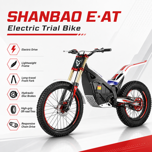 Motocicleta Eléctrica Todoterreno Arctic Leopard EAT <span class=keywords><strong>500</strong></span> <span class=keywords><strong>TRIAL</strong></span> 2026, 12kw, 72V30Ah, 500Nm, 80km de Autonomía, 90km/h de Alta Velocidad, Enduro - Product Image 1