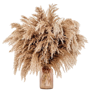Vente en gros 80CM d'eau de Javel naturelle préservée fleurs séchées et herbe de pampa <span class=keywords><strong>Miscanthus</strong></span> pour la décoration du Nouvel An chinois - Product Image 1
